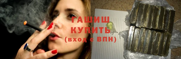 гашик Новозыбков
