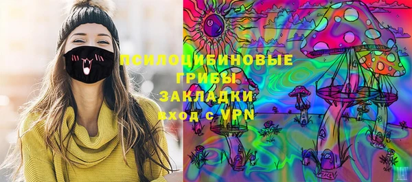 гидропоника Алзамай